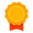 🎖️